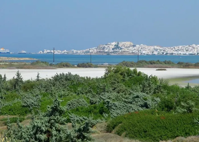 Fabulous In Naxos Island Villa Ájosz Prokópiosz
